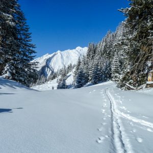 06_Sonnalm_Joechelspitze